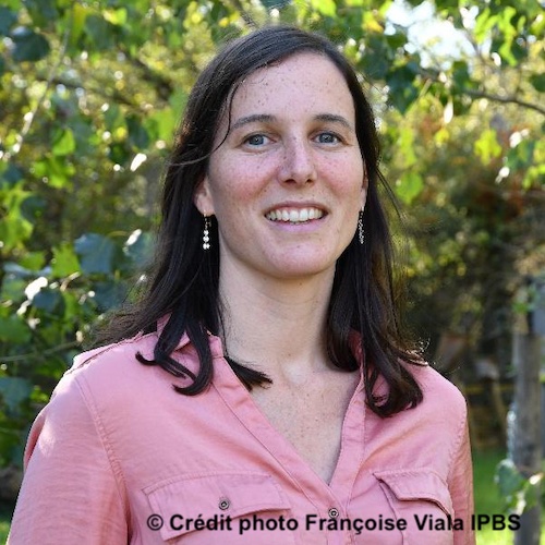 Amélie CABIROL